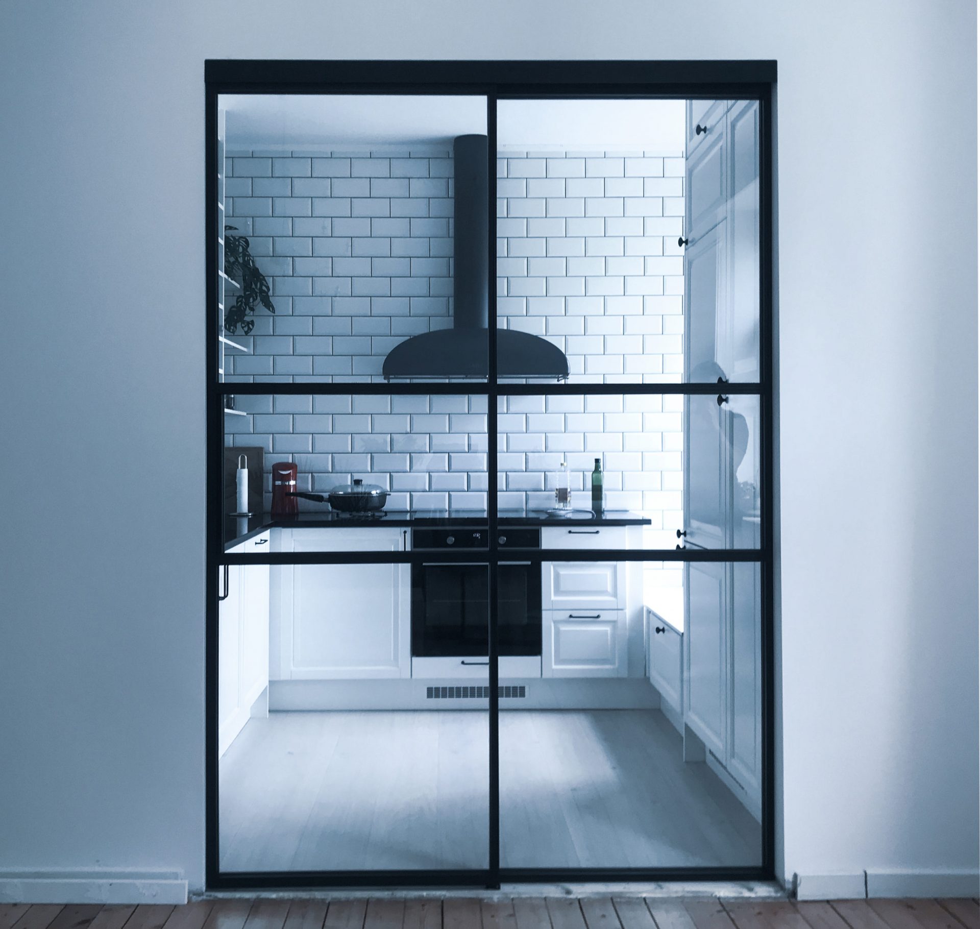 View of CONTEMPORARY SLIDING DOOR SOLUTION